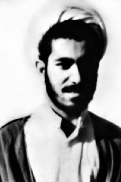 رضا چمانی